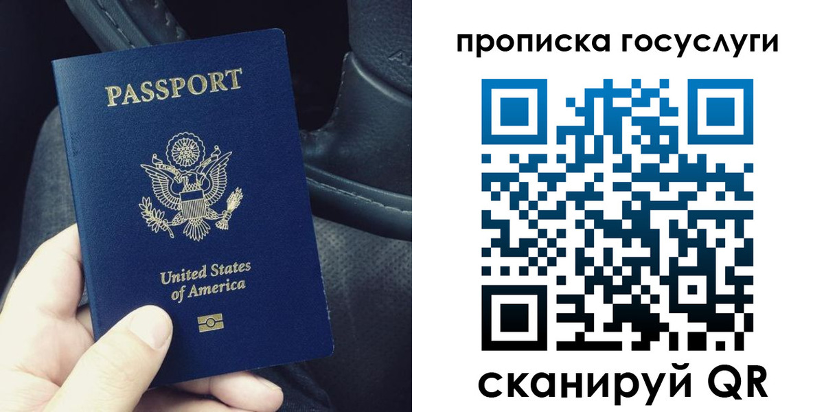 прописка для школы в Курске